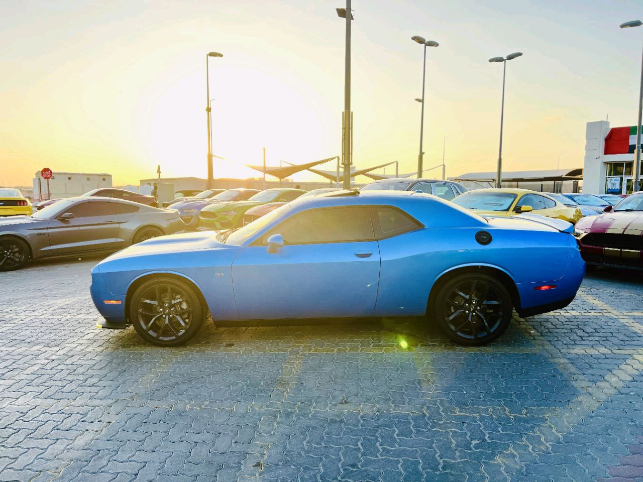 Dodge Challenger - Image 6