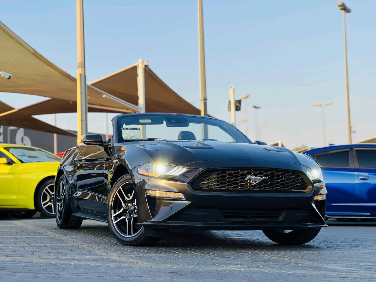 Ford Mustang - Image 4