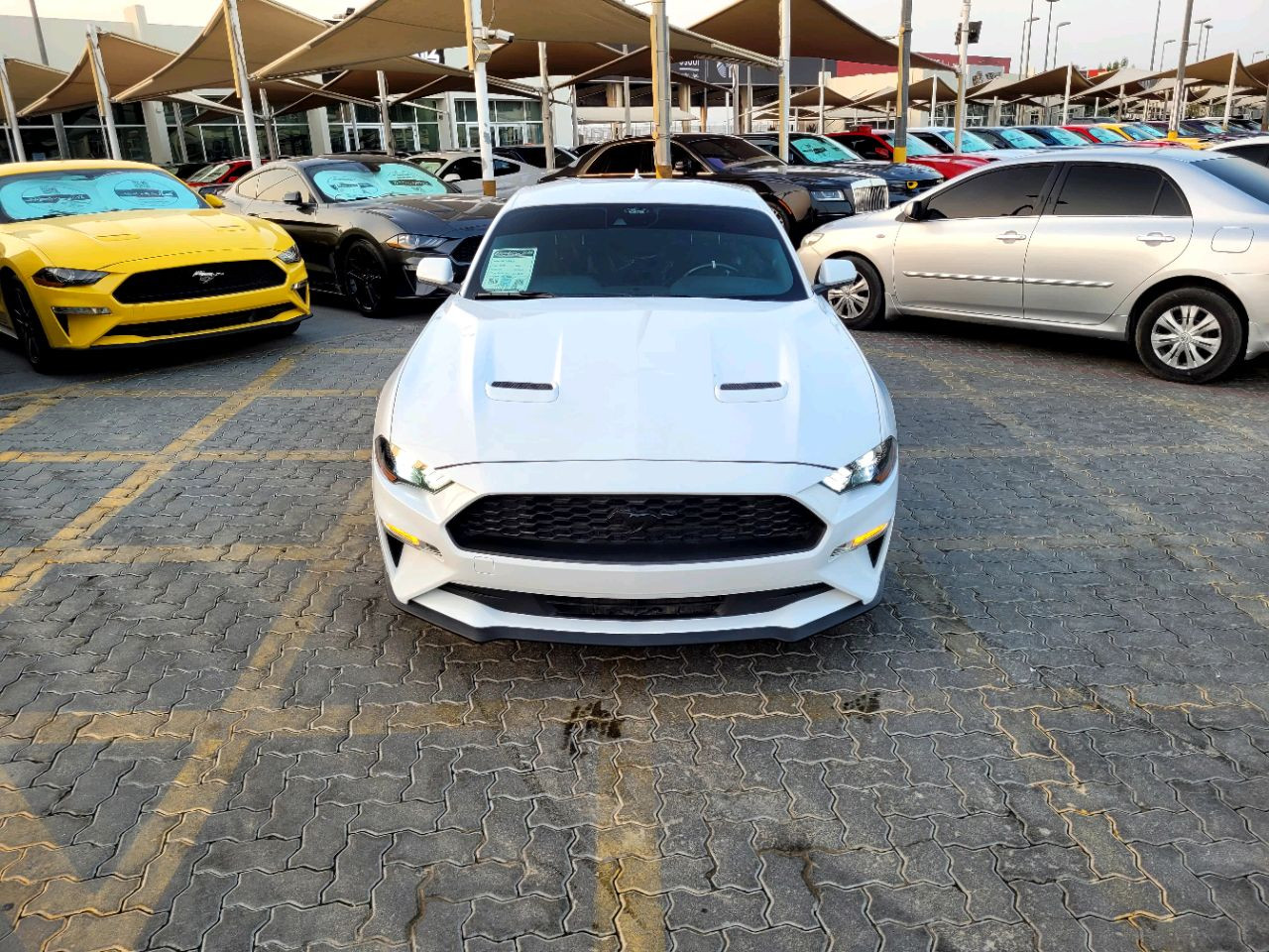 Ford Mustang - Image 4
