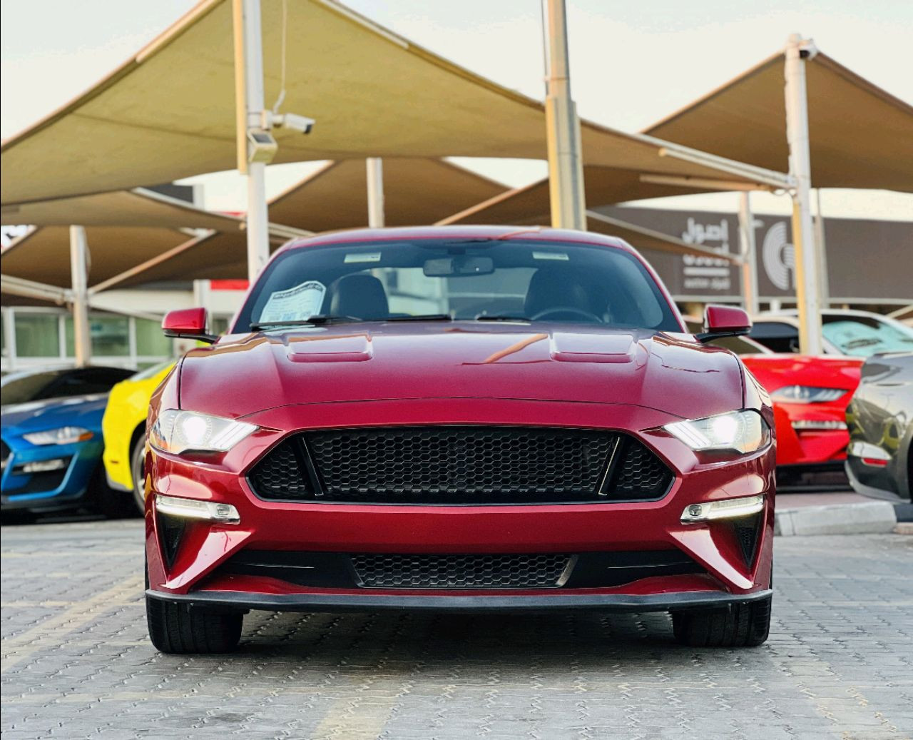 Ford Mustang - Image 4