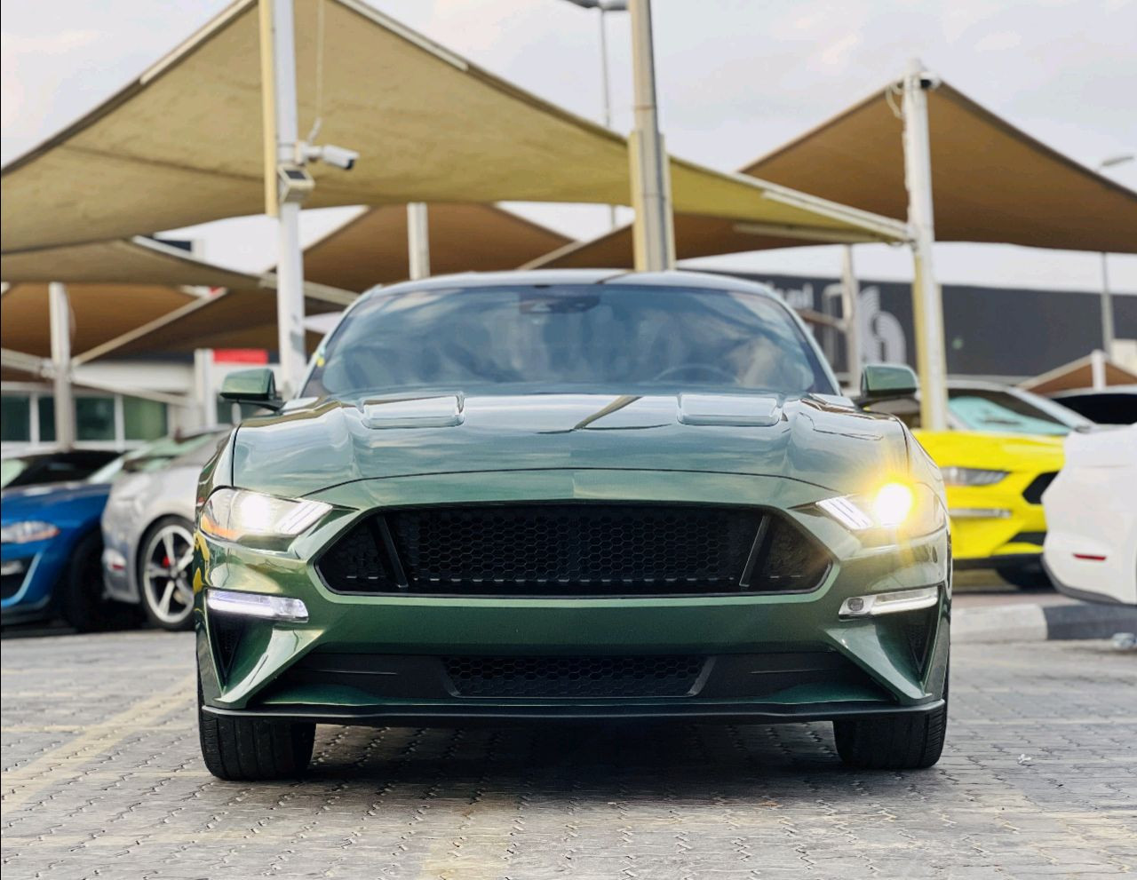 Ford Mustang - Image 3