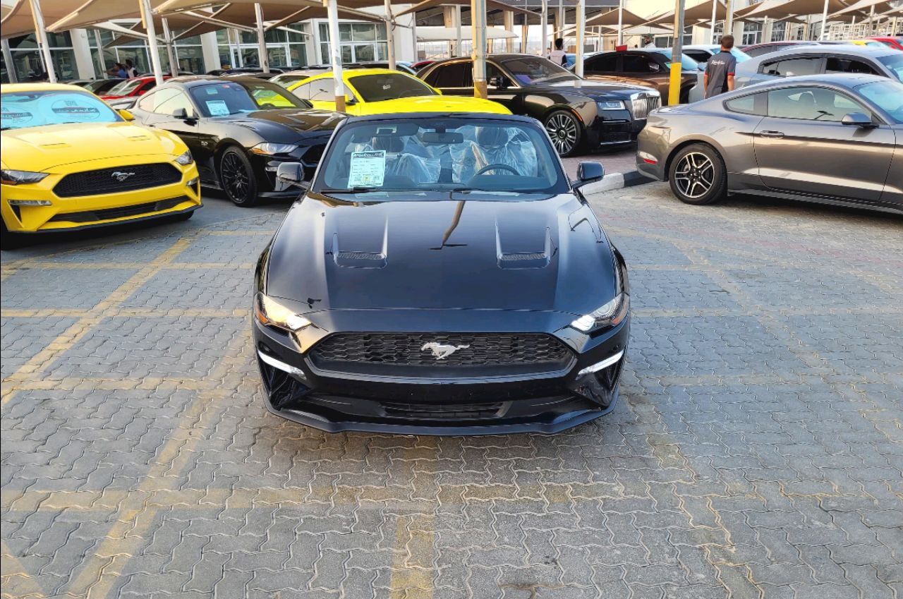 Ford Mustang - Image 3