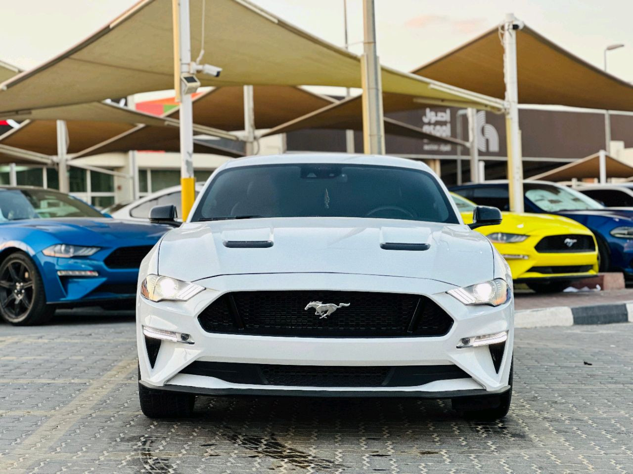 Ford Mustang - Image 3