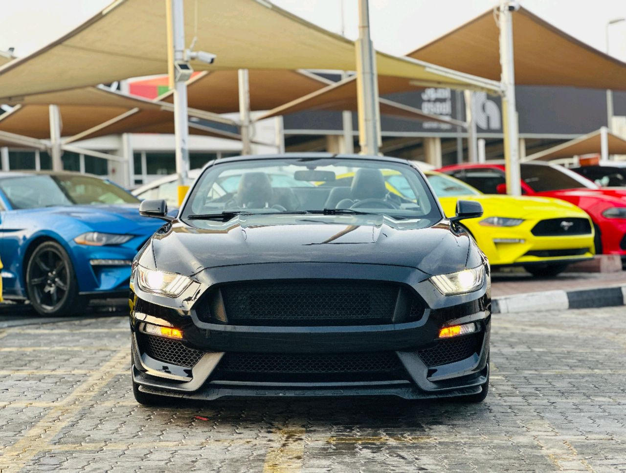 Ford Mustang - Image 3
