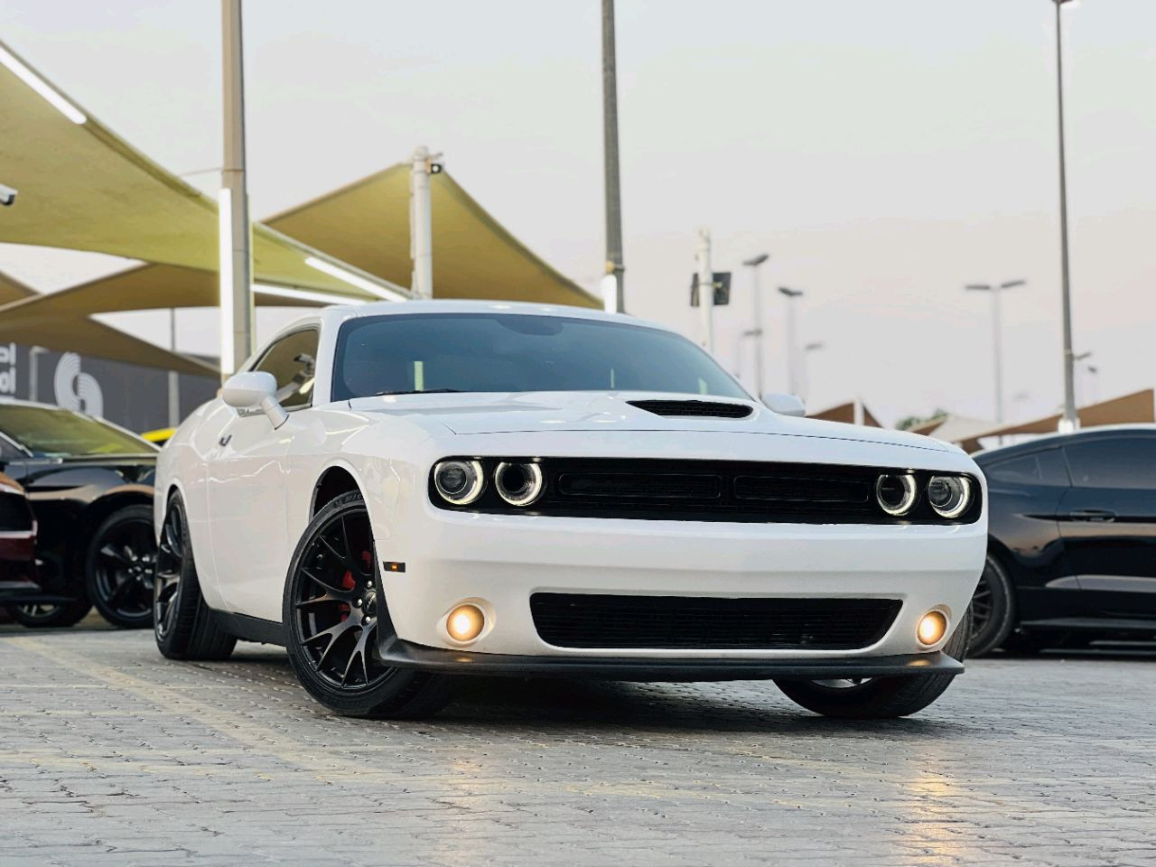 Dodge Challenger - Image 4