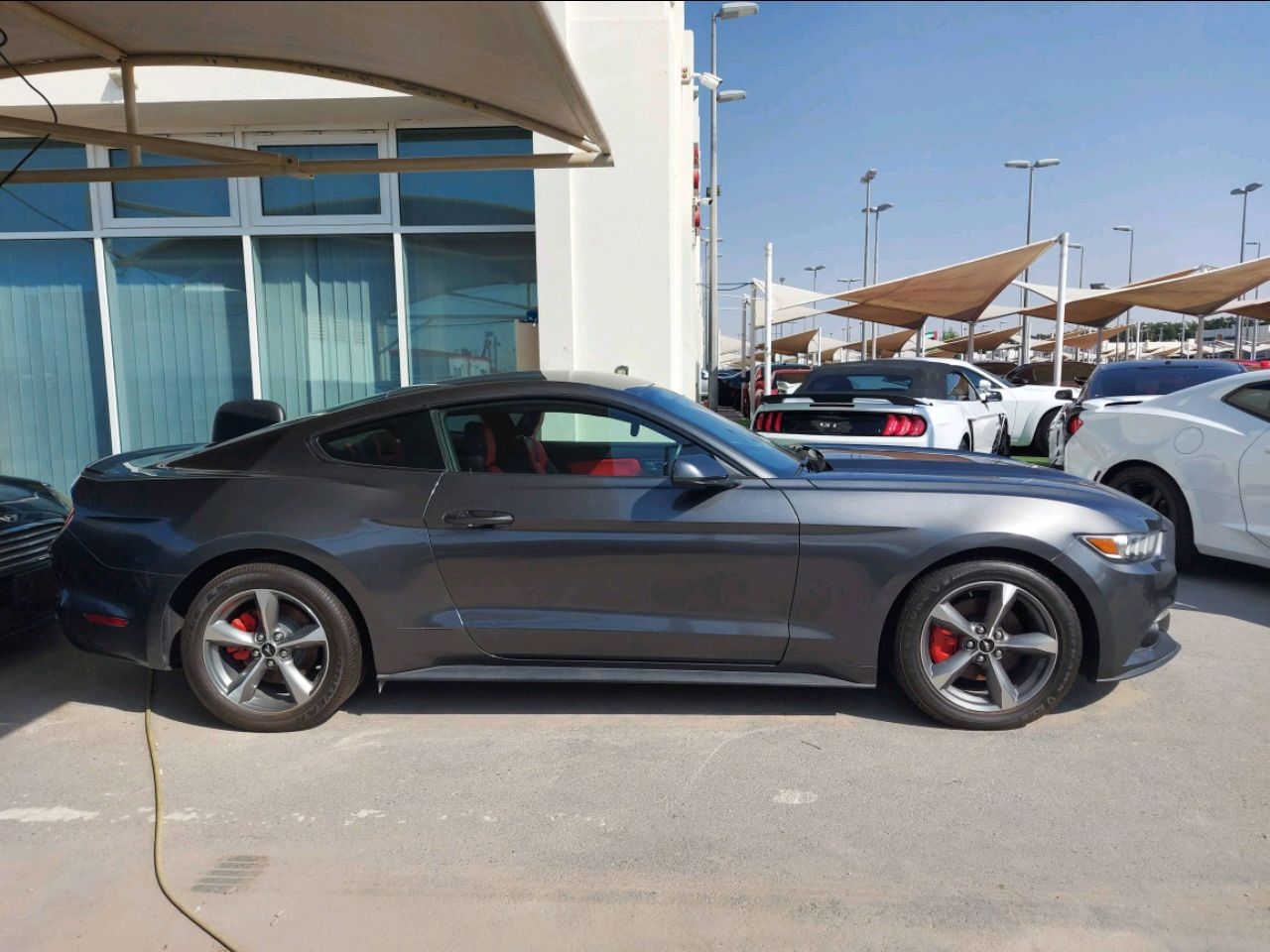 Ford Mustang - Image 5