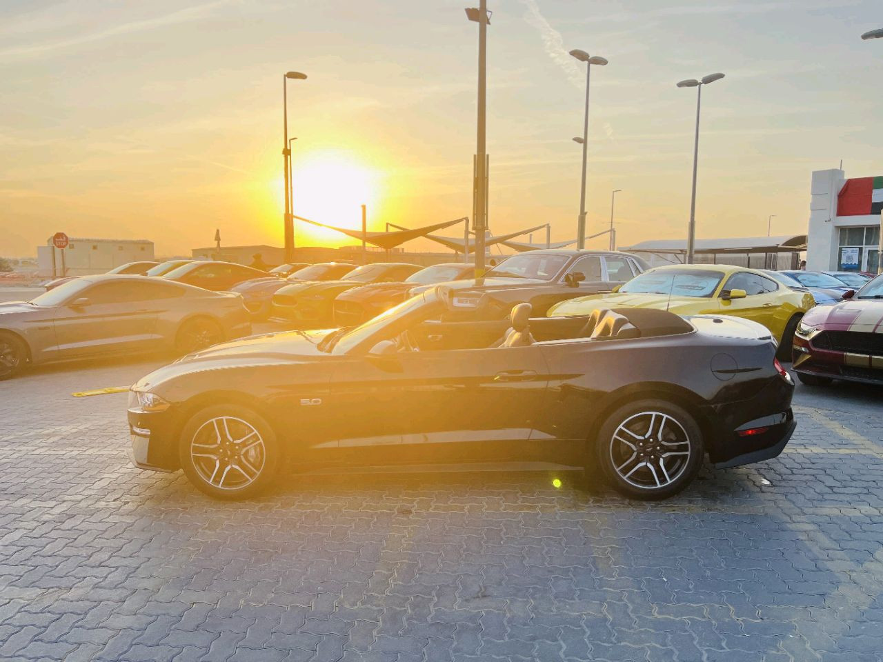 Ford Mustang - Image 7