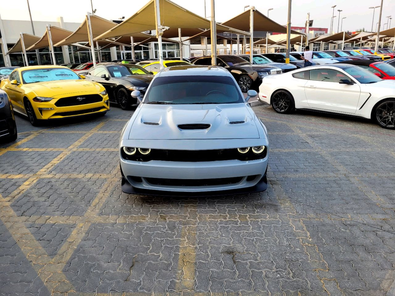 Dodge Challenger - Image 3