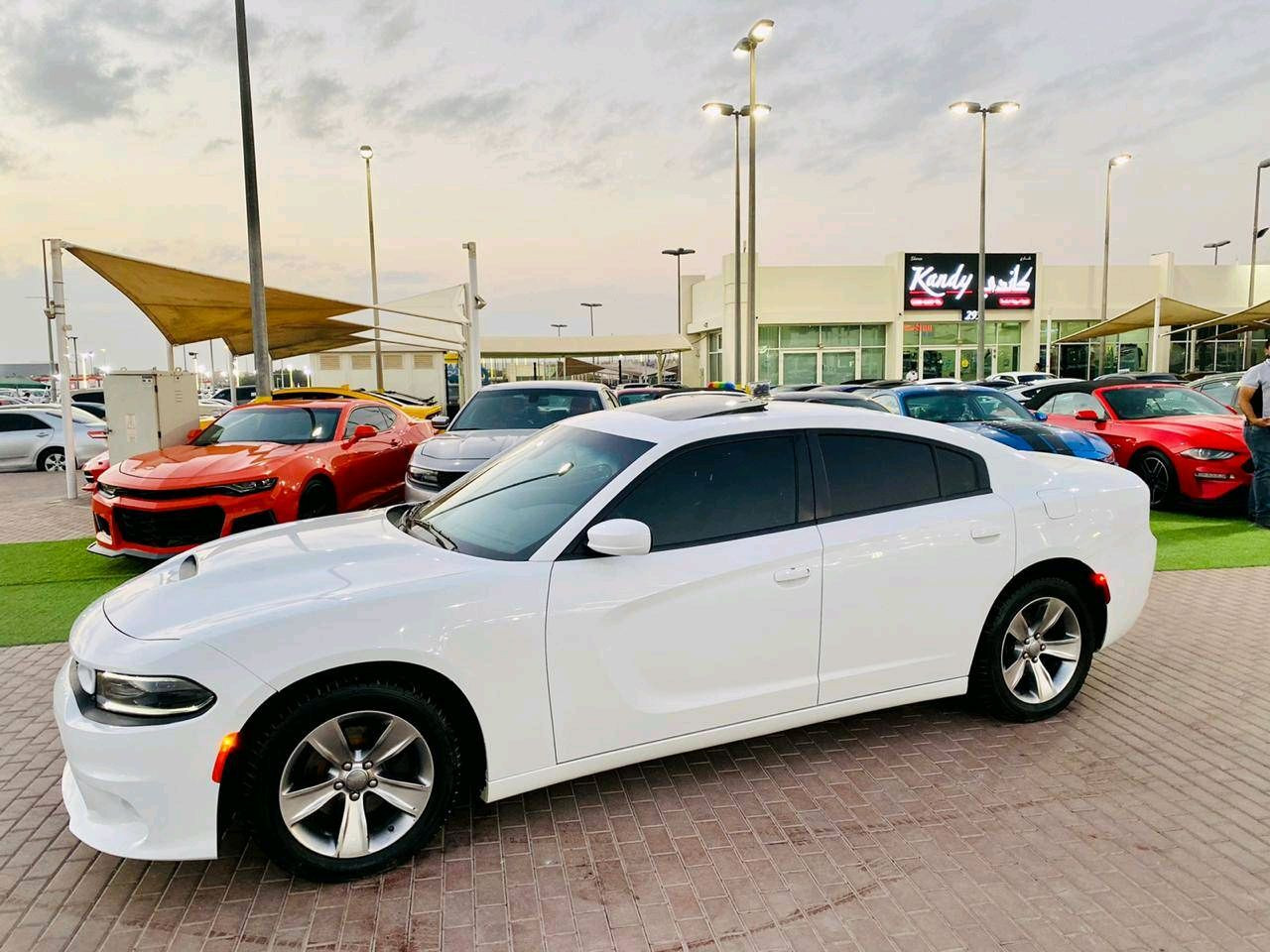 Dodge Charger - Image 5