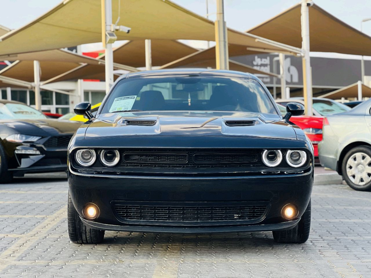 Dodge Challenger - Image 3