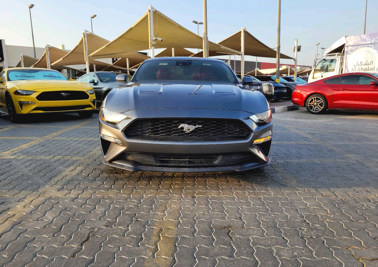 Ford Mustang - Image 3
