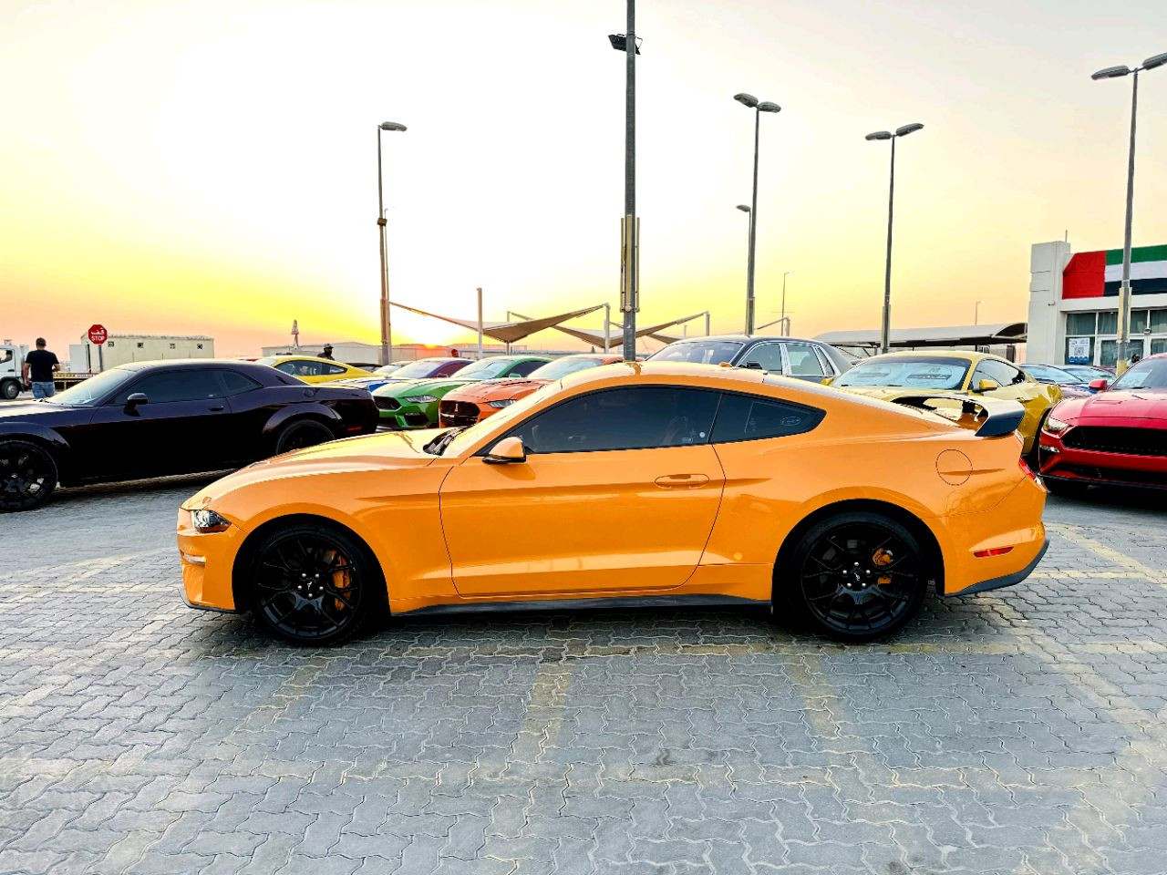 Ford Mustang - Image 3