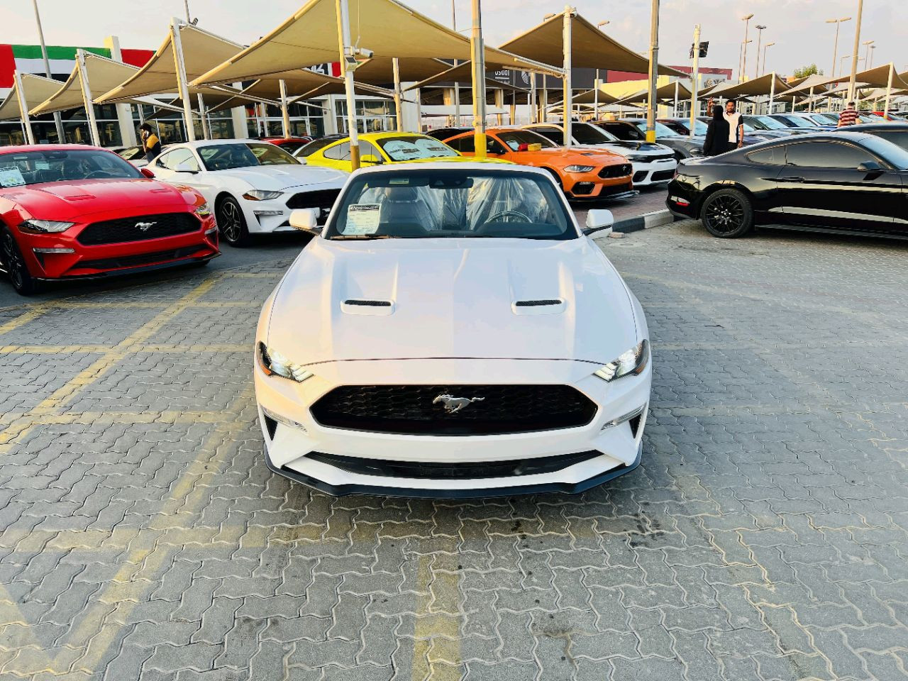 Ford Mustang - Image 11