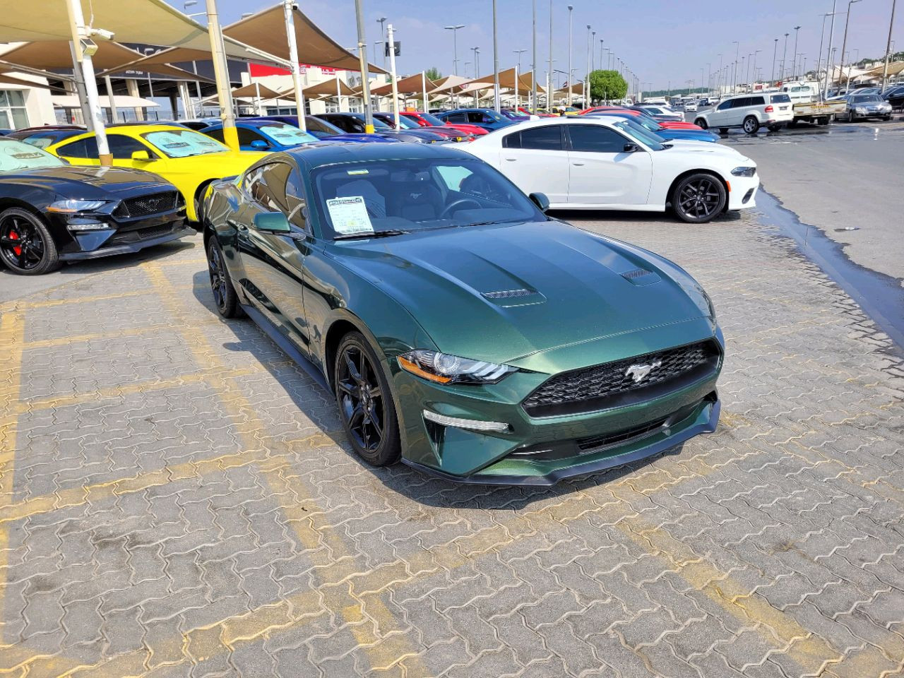 Ford Mustang - Image 4