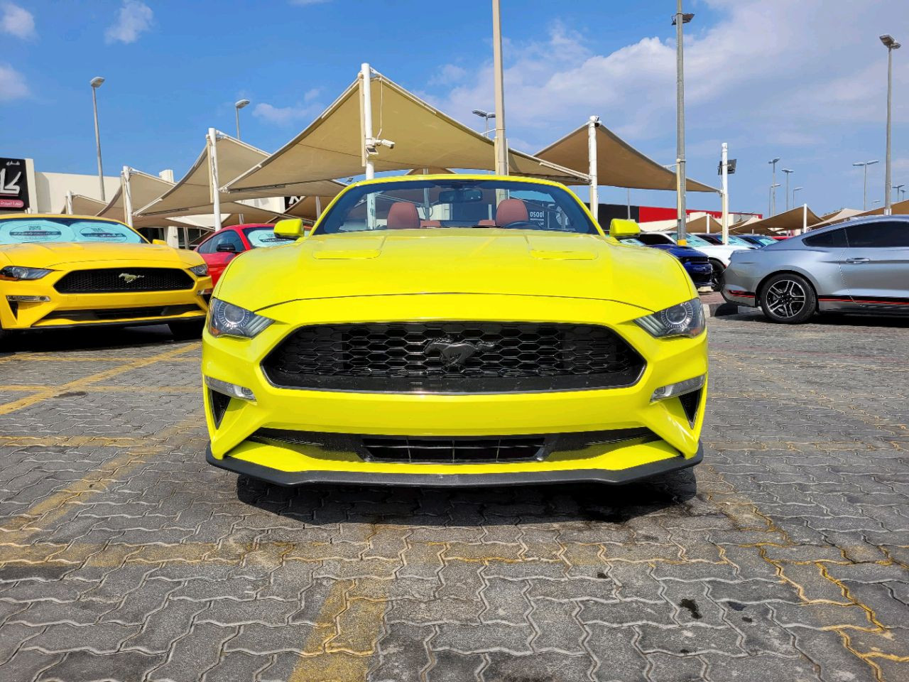 Ford Mustang - Image 7