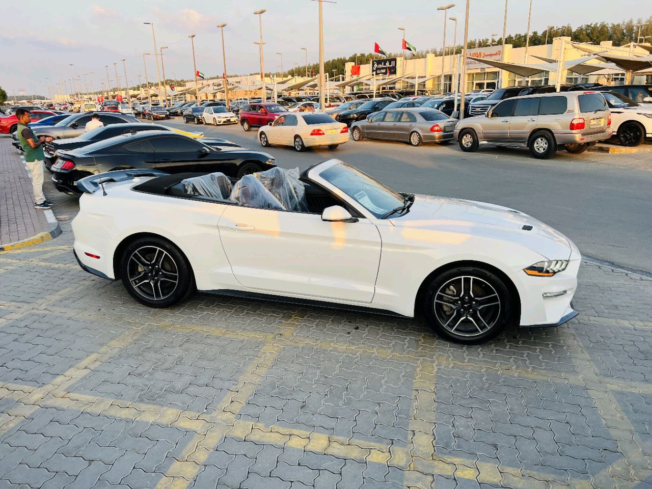 Ford Mustang - Image 5