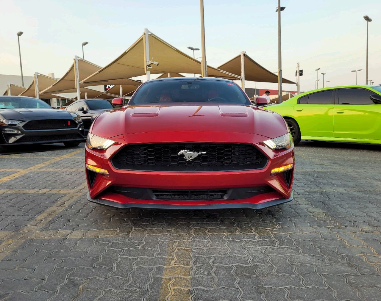 Ford Mustang - Image 3
