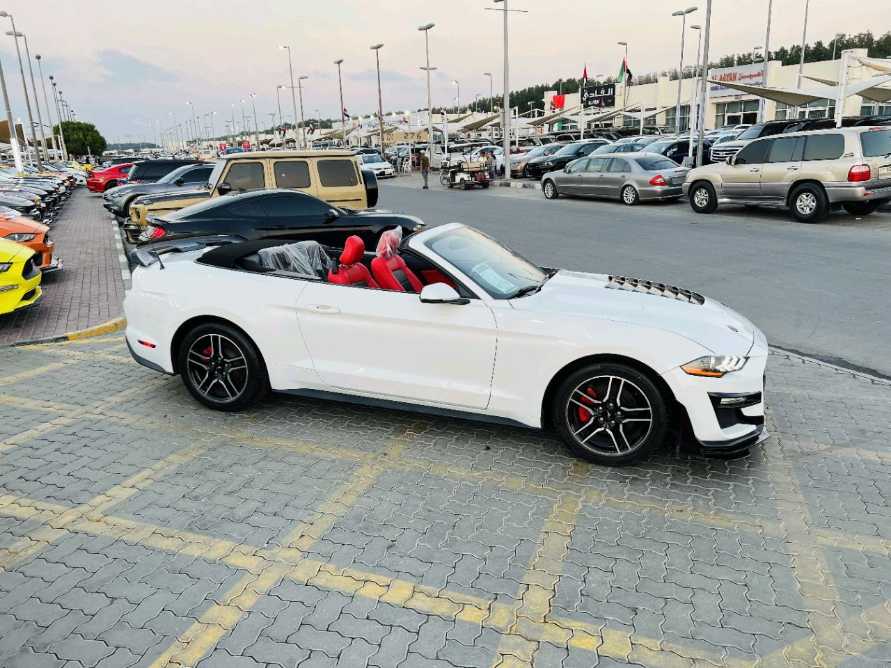 Ford Mustang - Image 8