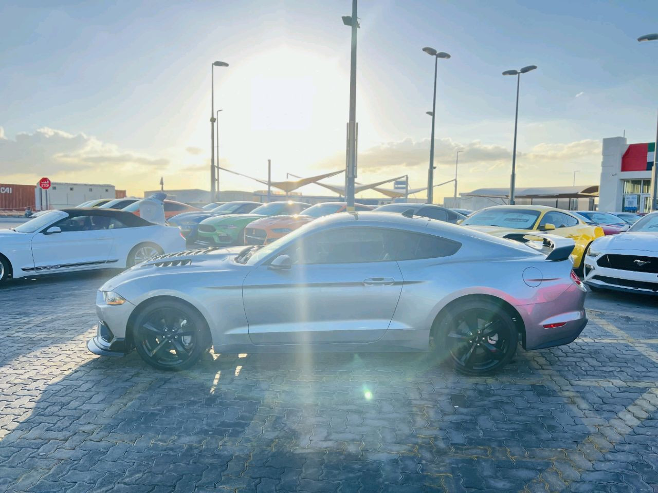 Ford Mustang - Image 6
