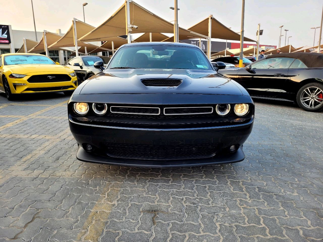 Dodge Challenger - Image 3