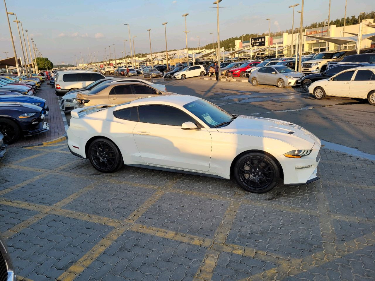 Ford Mustang - Image 7