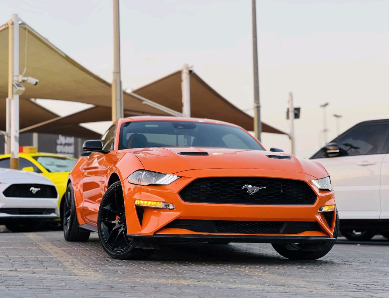 Ford Mustang - Image 3