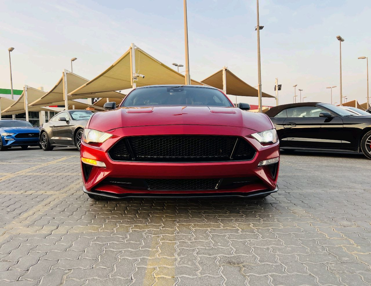 Ford Mustang - Image 3