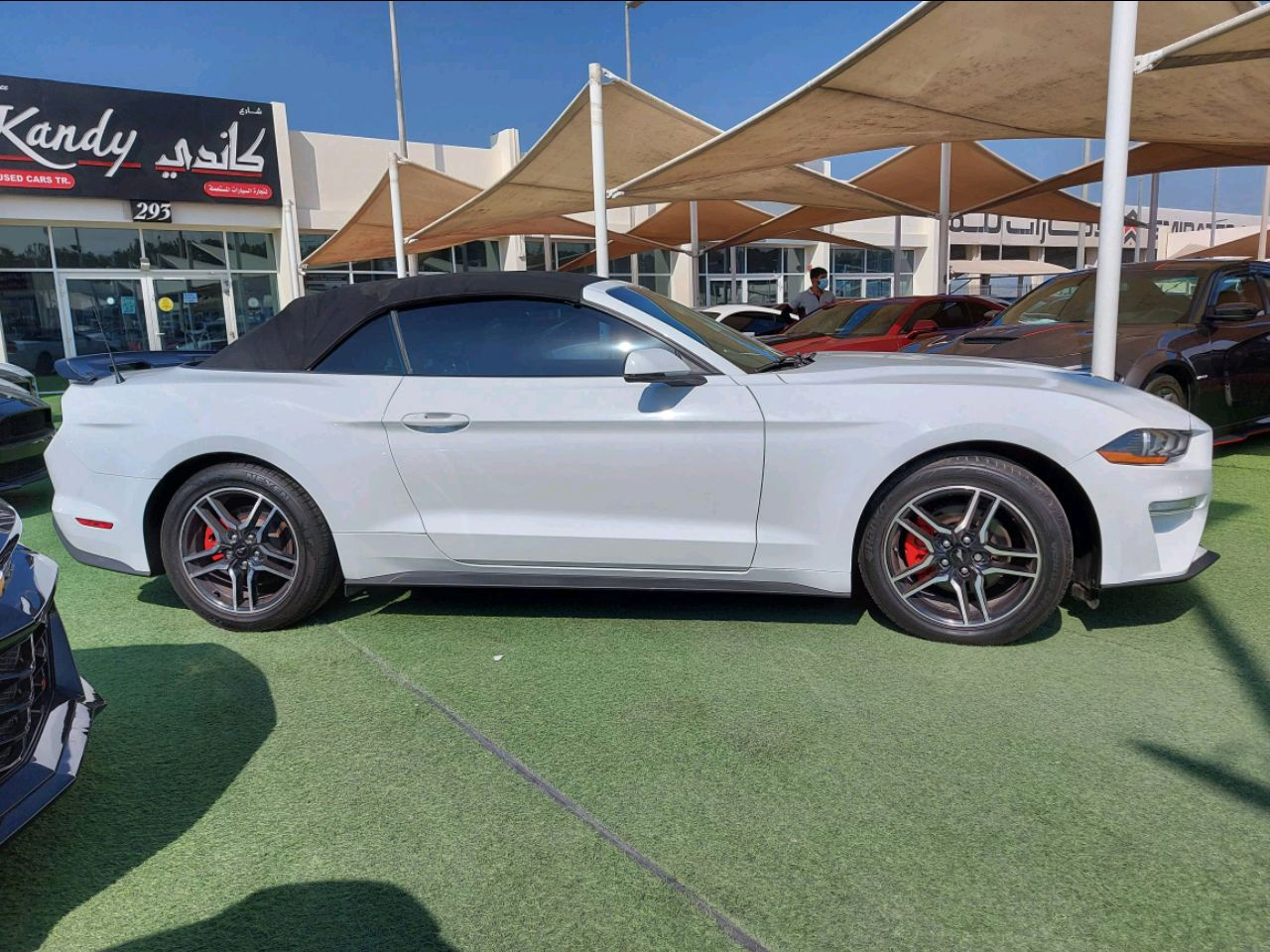 Ford Mustang - Image 5