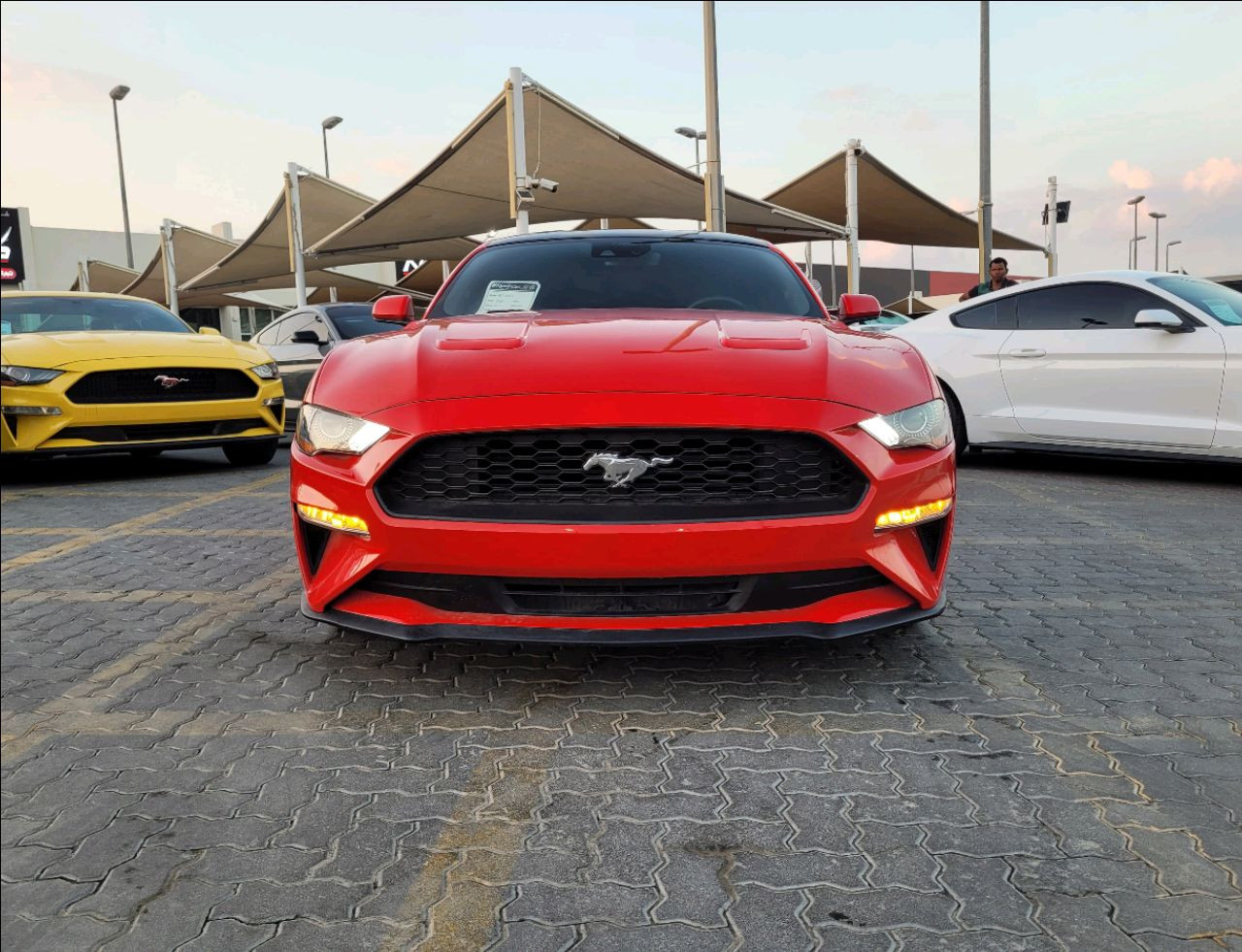 Ford Mustang - Image 3