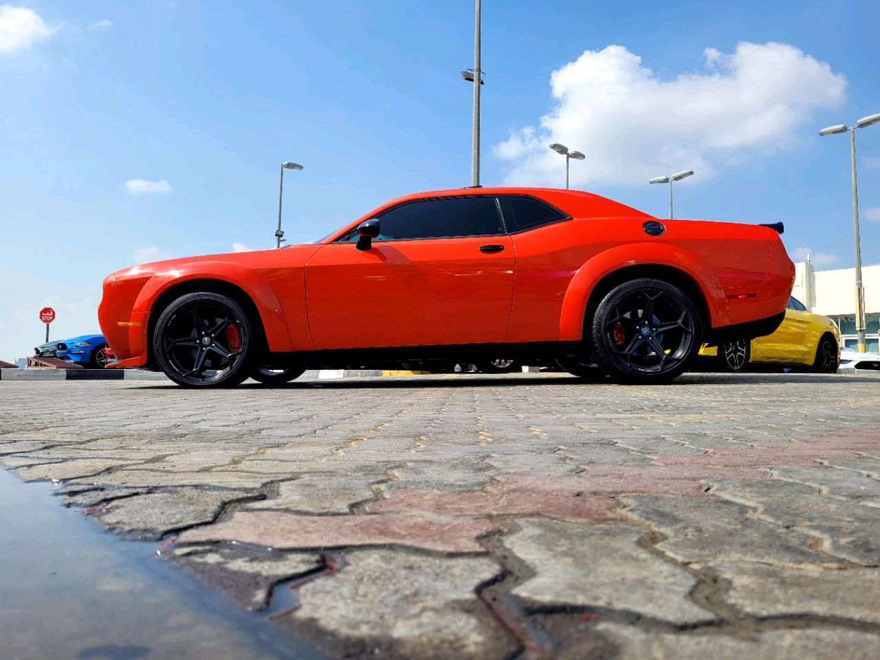 Dodge Challenger - Image 6
