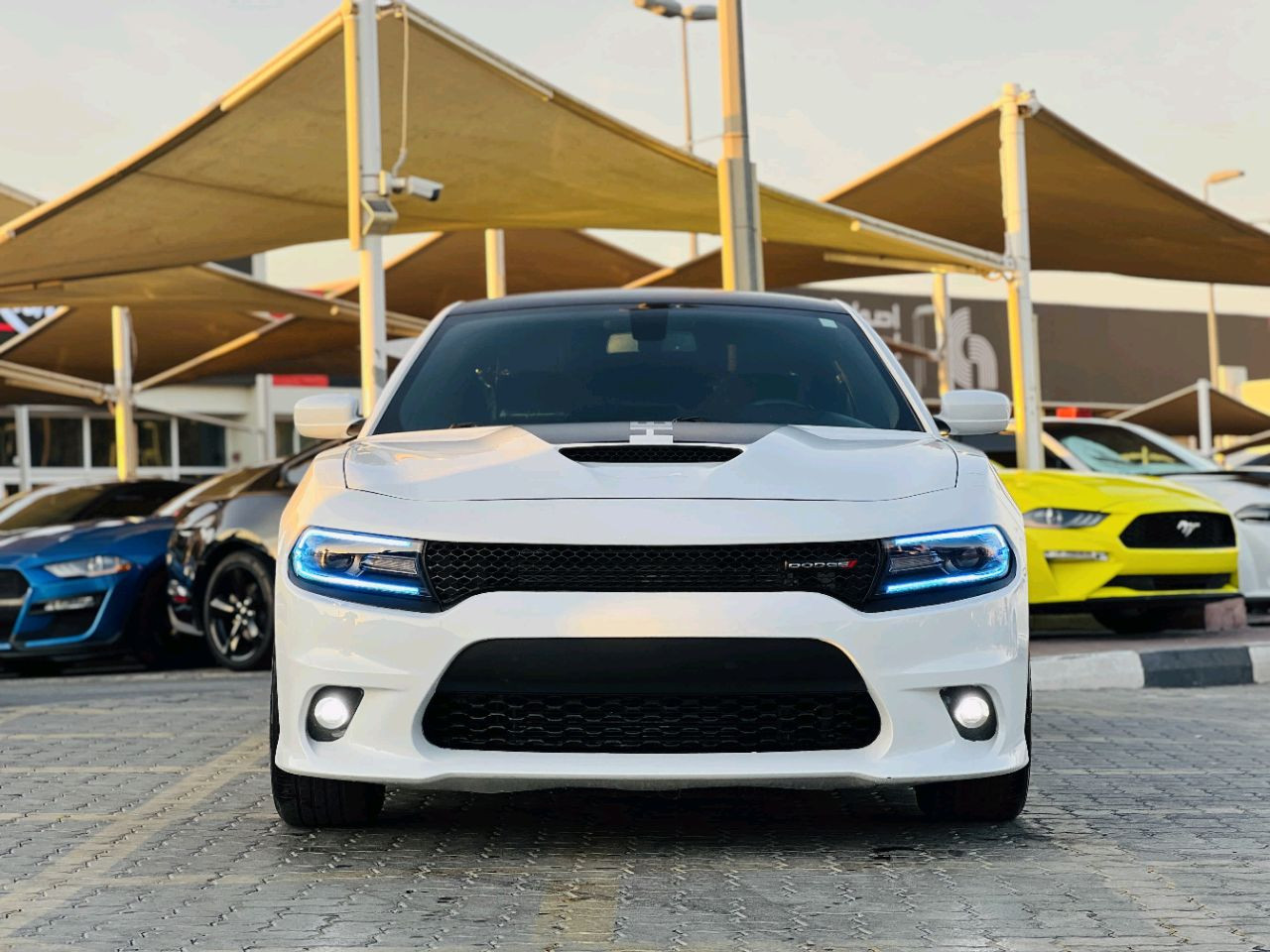 Dodge Charger - Image 3