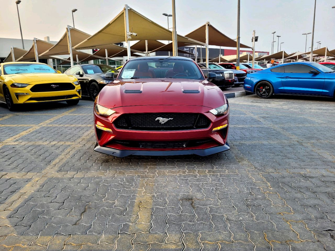 Ford Mustang - Image 3