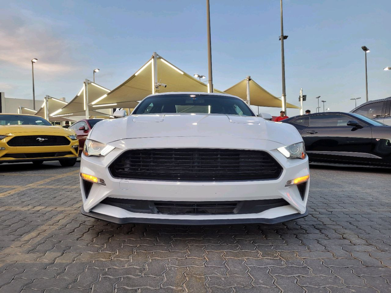 Ford Mustang - Image 3