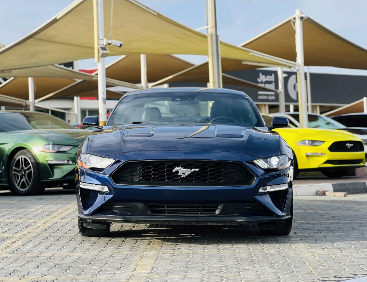 Ford Mustang - Image 3
