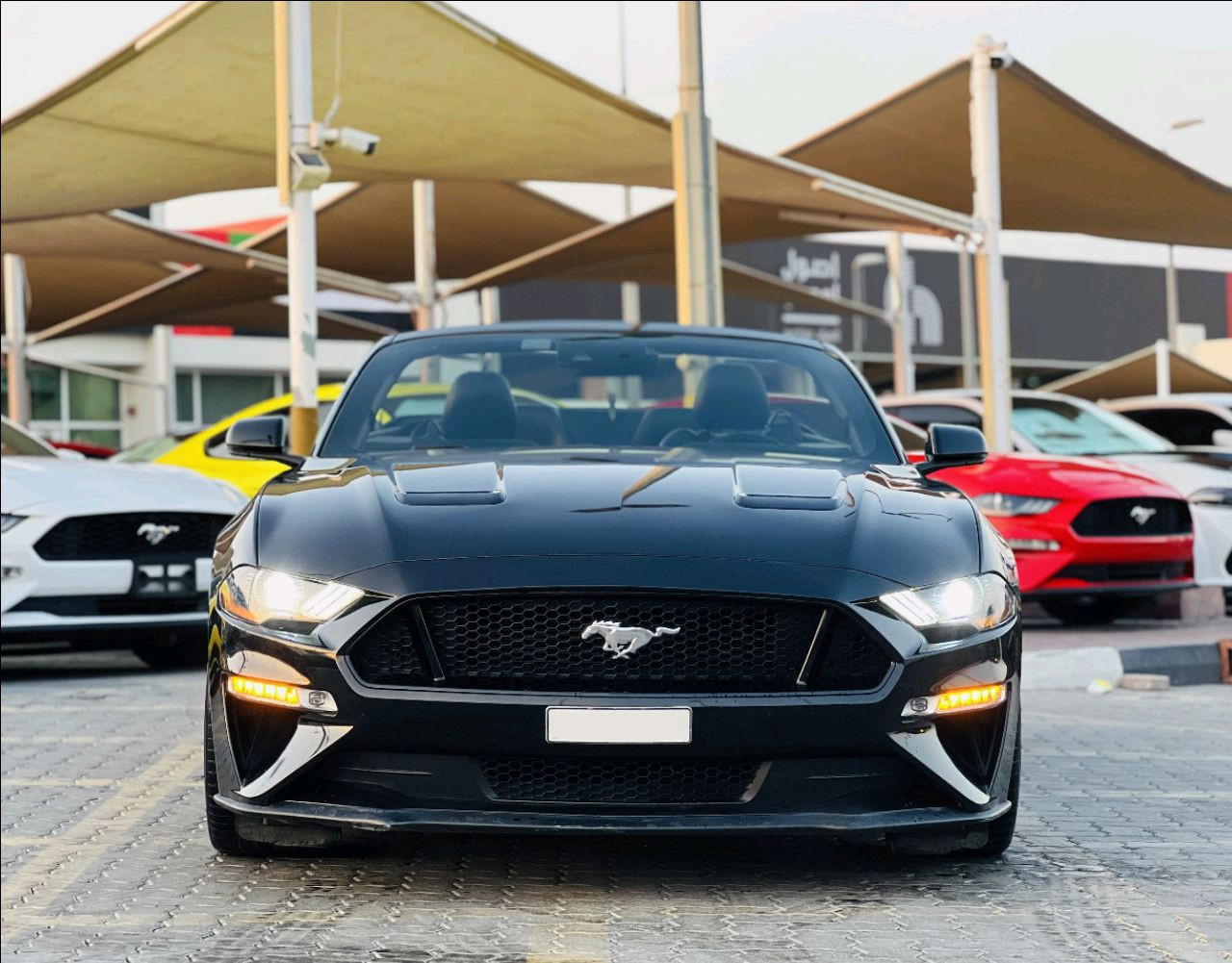 Ford Mustang - Image 3
