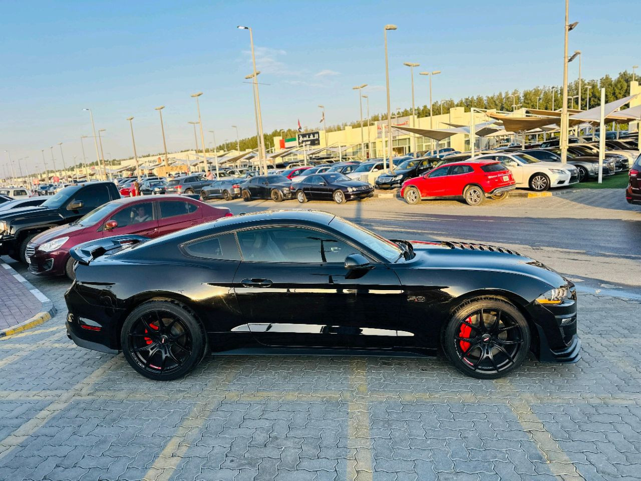 Ford Mustang - Image 5