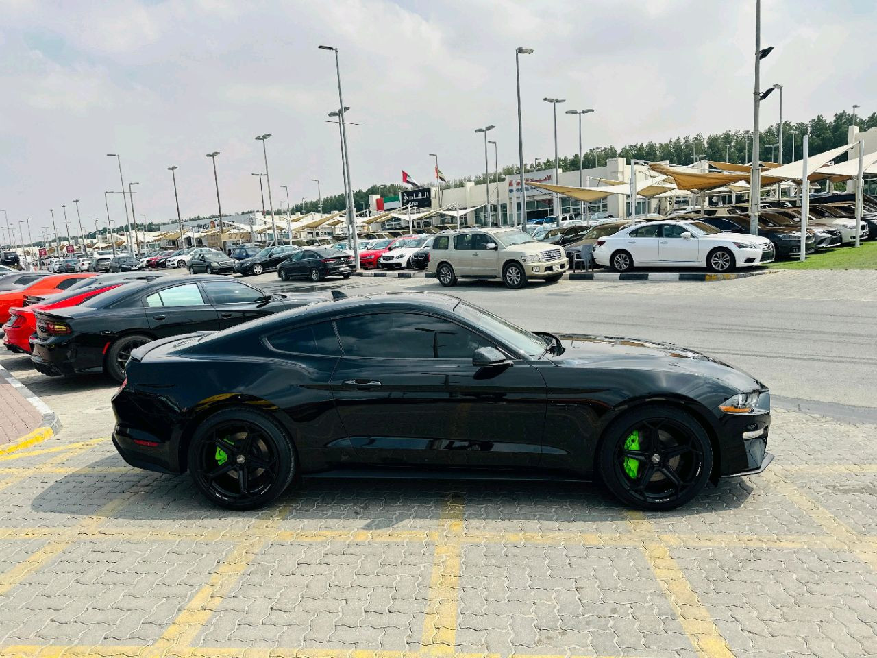 Ford Mustang - Image 5