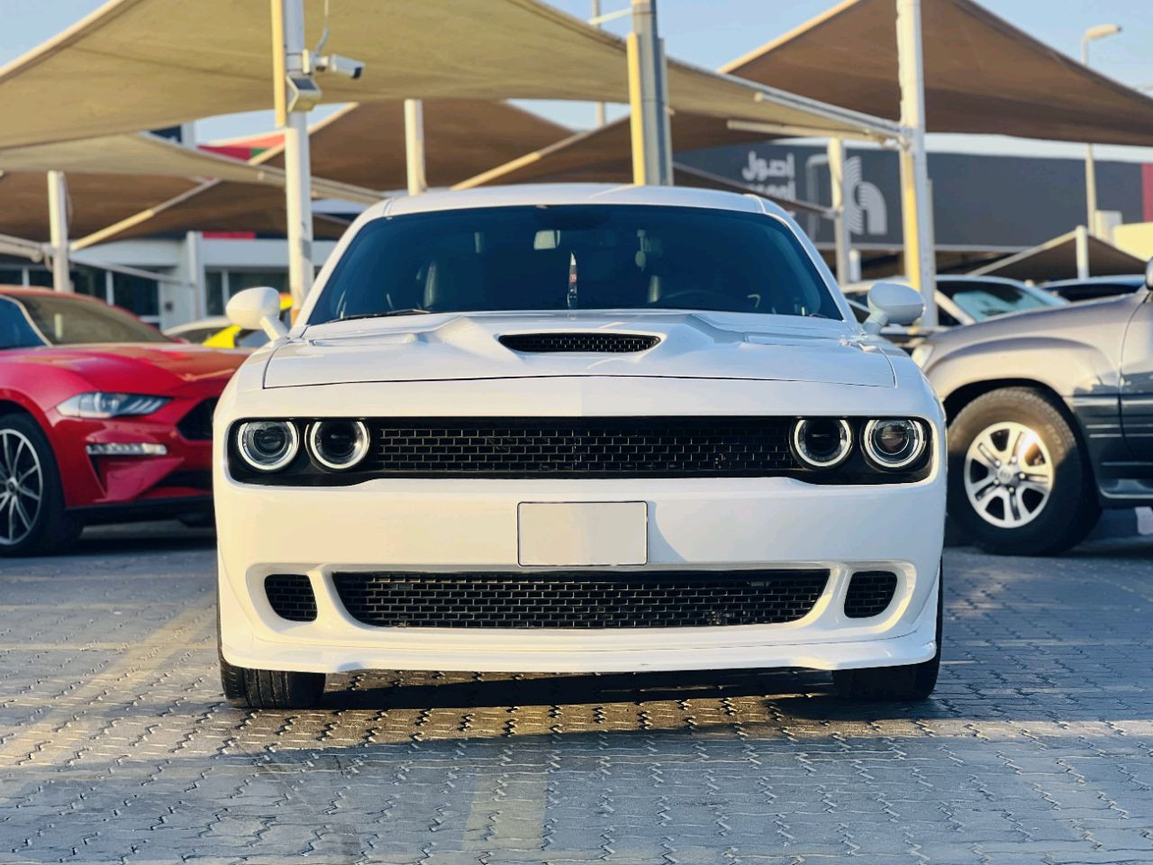 Dodge Challenger - Image 3