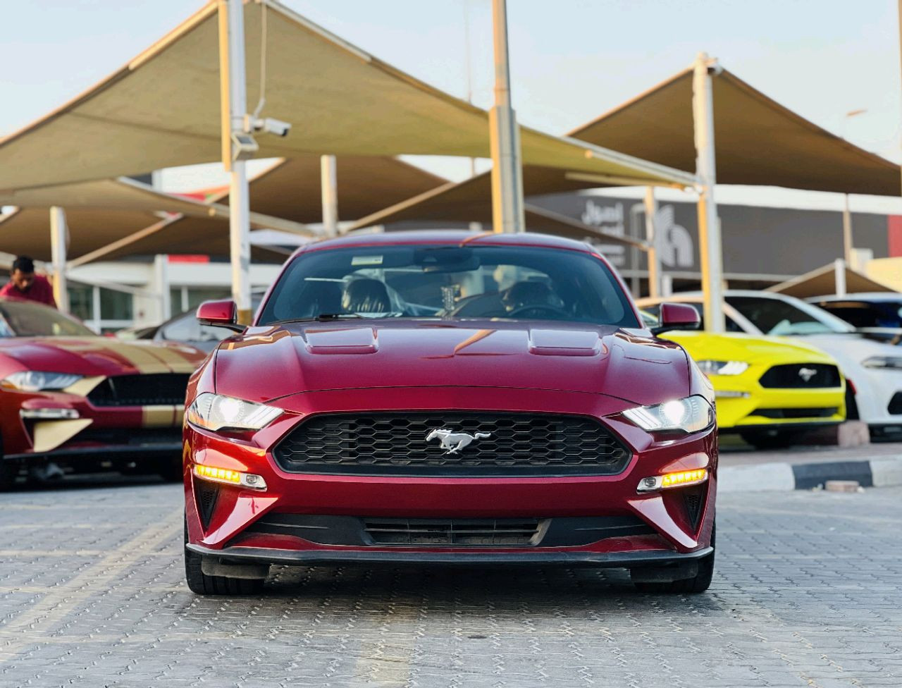 Ford Mustang - Image 4