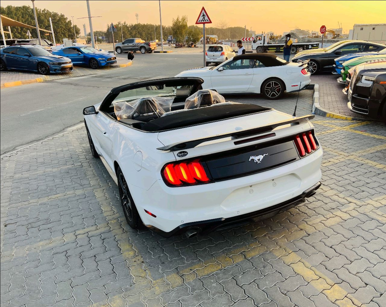 Ford Mustang - Image 3