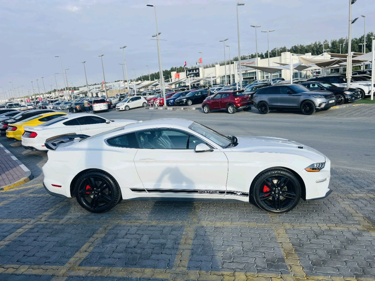Ford Mustang - Image 5