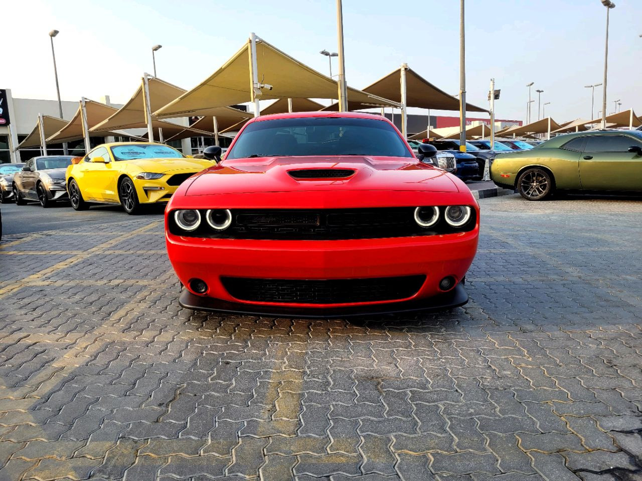 Dodge Challenger - Image 3