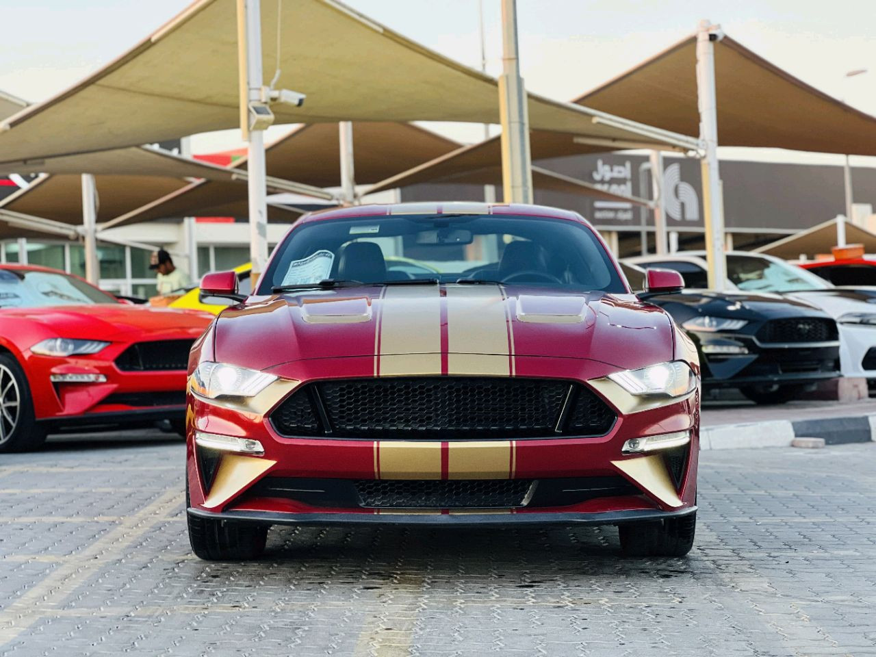 Ford Mustang - Image 6