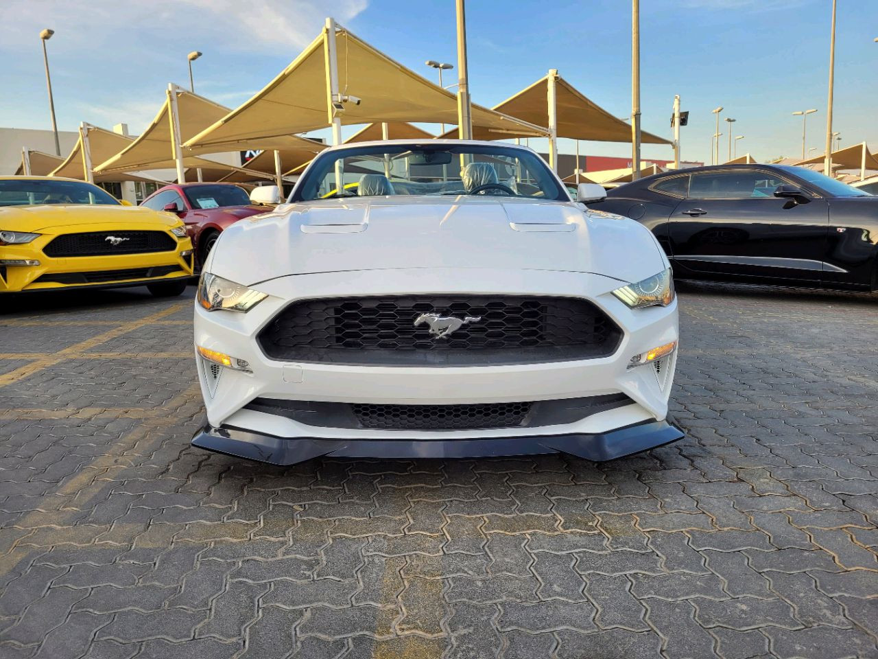 Ford Mustang - Image 3