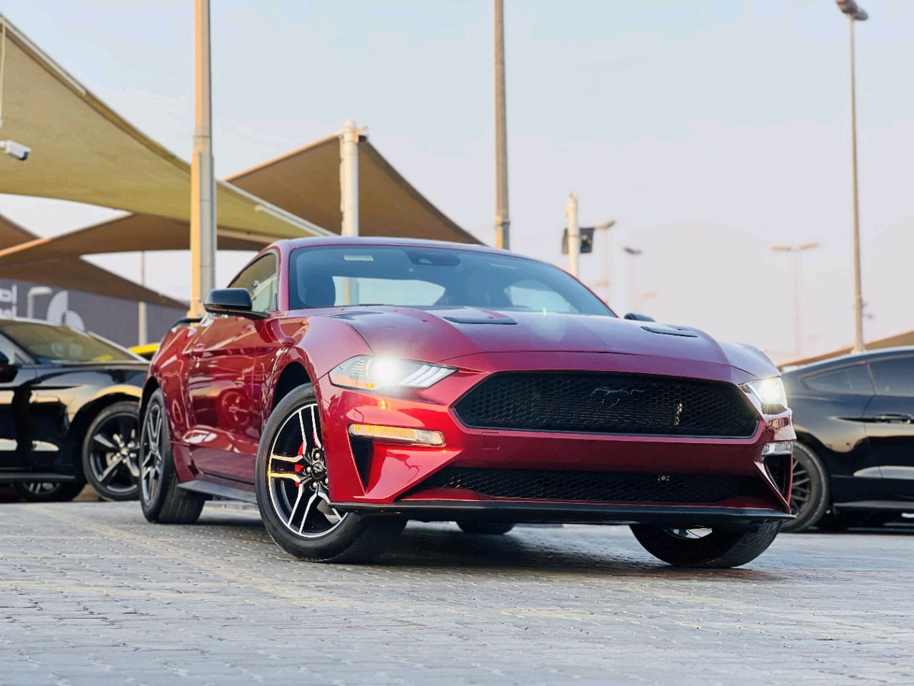 Ford Mustang - Image 4