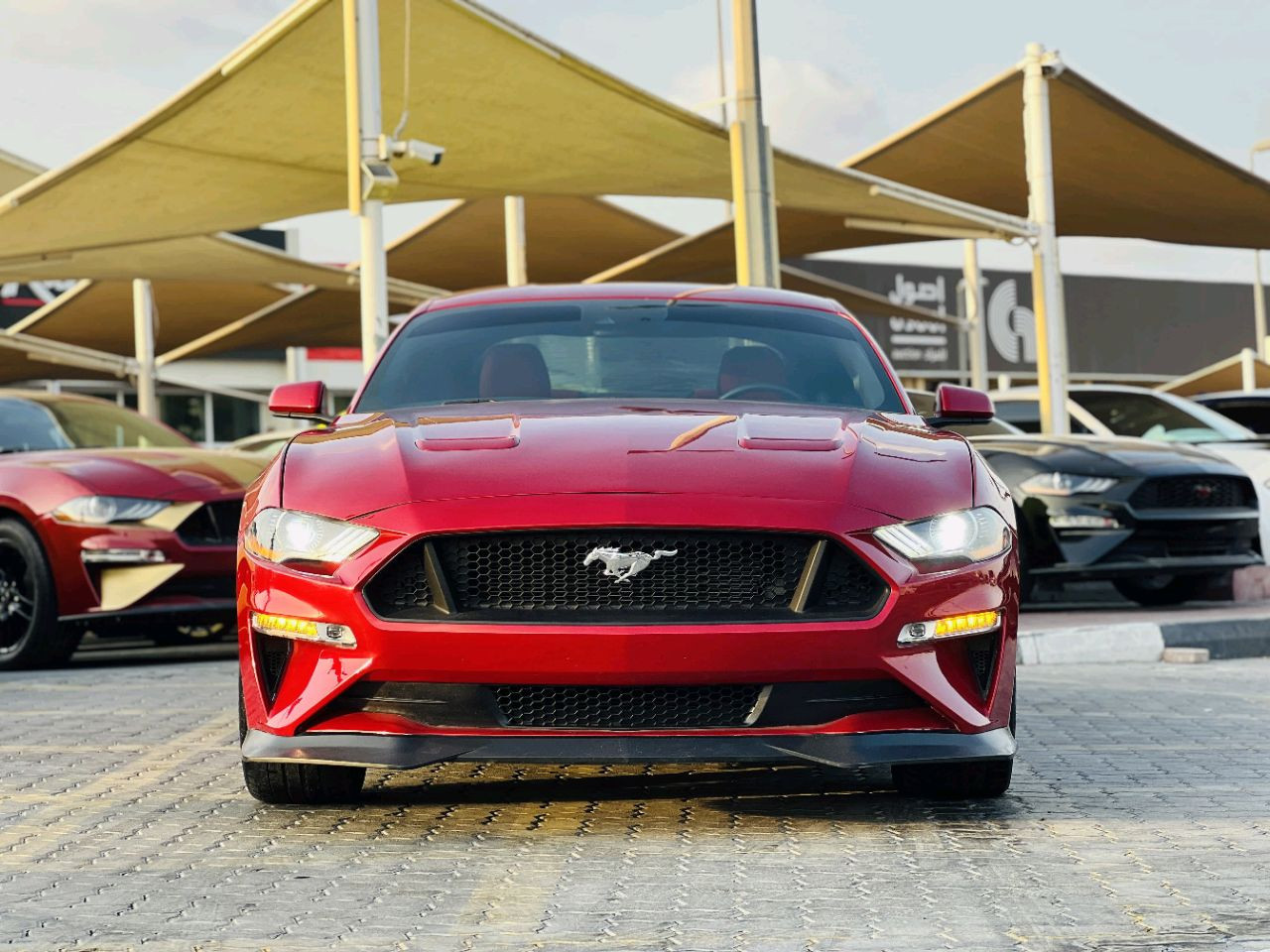 Ford Mustang - Image 3