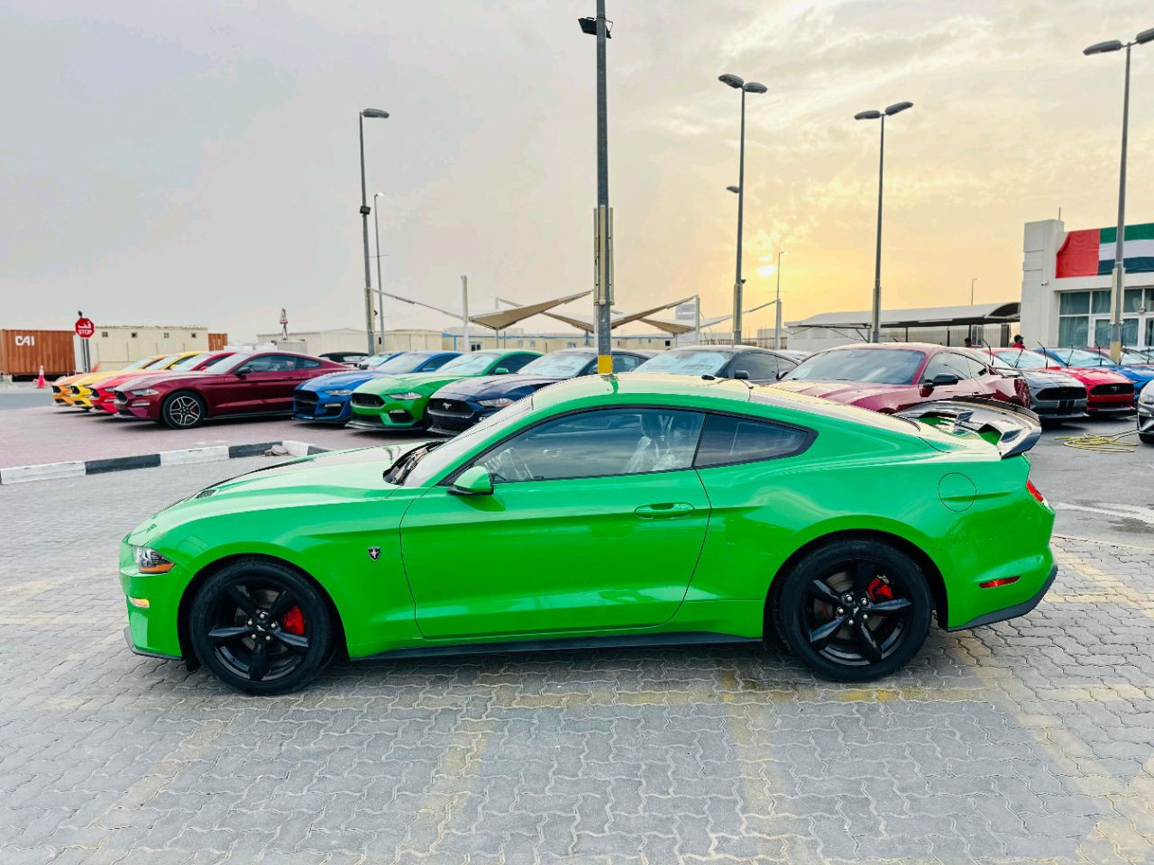 Ford Mustang - Image 6