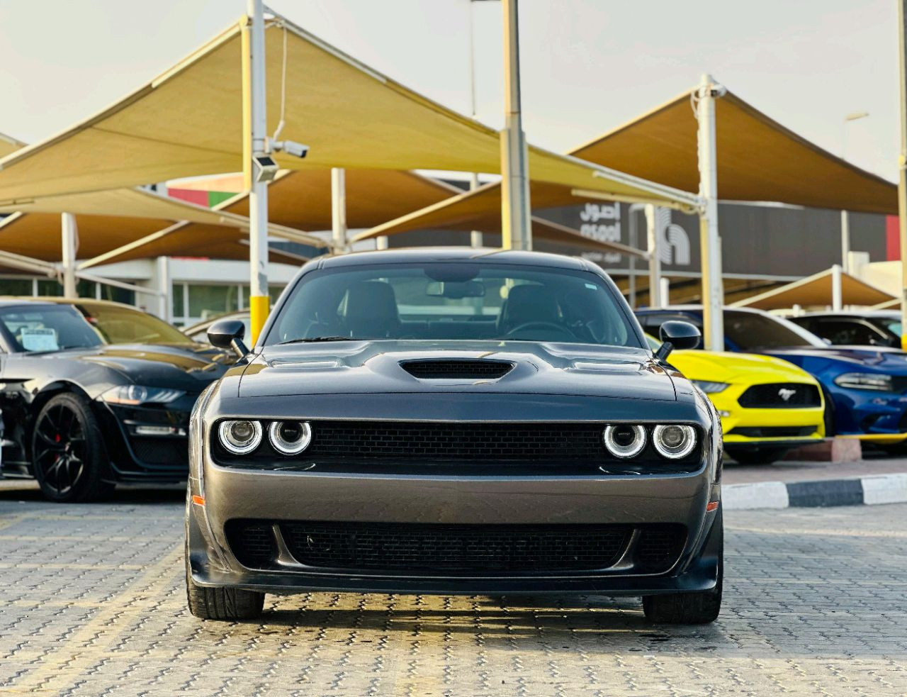 Dodge Challenger - Image 3