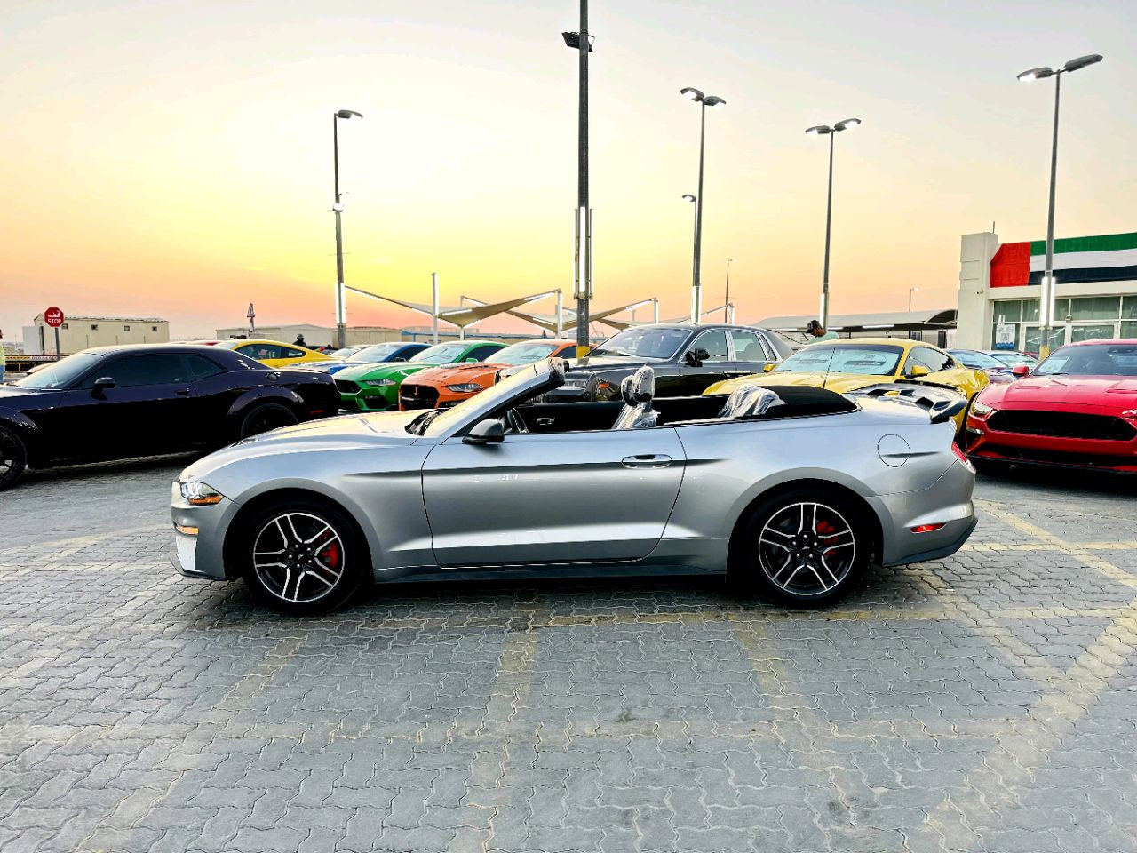 Ford Mustang - Image 5