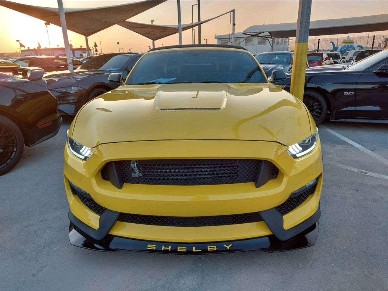 Ford Mustang - Image 4